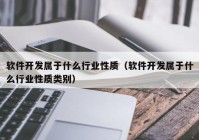 软件开发属于什么行业性质（软件开发属于什么行业性质类别）