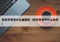 软件开发学什么编程好（软件开发学什么软件）