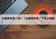 小程序开发一对一（小程序开发一个多少钱啊）