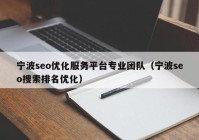 宁波seo优化服务平台专业团队（宁波seo搜索排名优化）