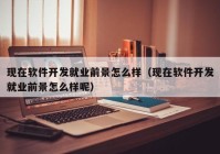 现在软件开发就业前景怎么样（现在软件开发就业前景怎么样呢）
