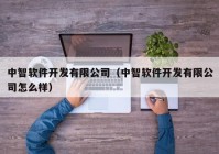 中智软件开发有限公司（中智软件开发有限公司怎么样）