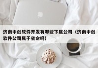 济南中创软件开发有哪些下属公司（济南中创软件公司属于省企吗）