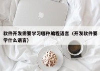 软件开发需要学习哪种编程语言（开发软件要学什么语言）
