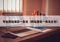 专业网站建设一条龙（网站建设一条龙全包）