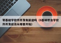 零基础学软件开发有前途吗（0基础想自学软件开发应该从哪里开始）