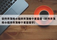 软件开发和小程序开发哪个更容易（软件开发和小程序开发哪个更容易学）