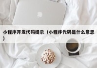 小程序开发代码提示（小程序代码是什么意思）
