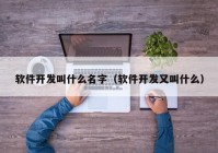 软件开发叫什么名字（软件开发又叫什么）