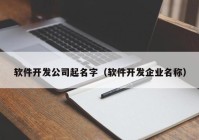 软件开发公司起名字（软件开发企业名称）