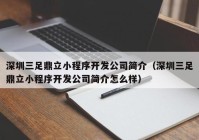 深圳三足鼎立小程序开发公司简介（深圳三足鼎立小程序开发公司简介怎么样）