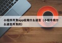 小程序开发app应用什么语言（小程序用什么语言开发的）