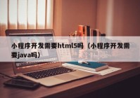 小程序开发需要html5吗（小程序开发需要java吗）